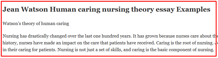 nursing theory essay example